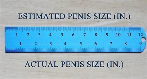 Is a 3 inch PP big?