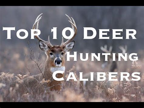 Is a 308 legal for deer hunting in Indiana?