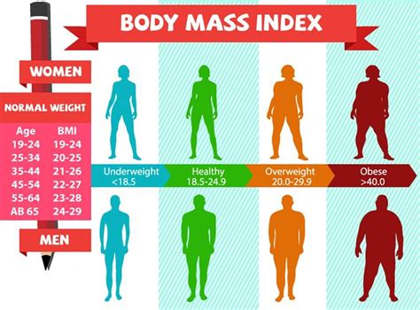 Is a BMI of 19 attractive?