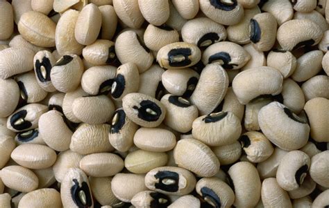 Is a black eyed pea a bean?