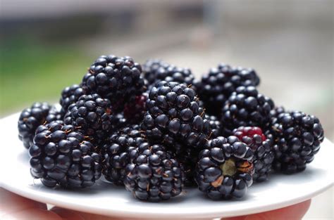 Is a blackberry actually a berry?