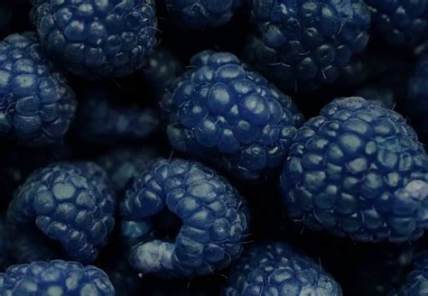 Is a blue raspberry a blackberry?