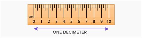 Is a decimeter a real thing?