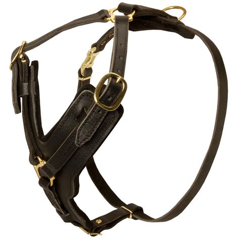 Is a dog harness H or Y shaped?