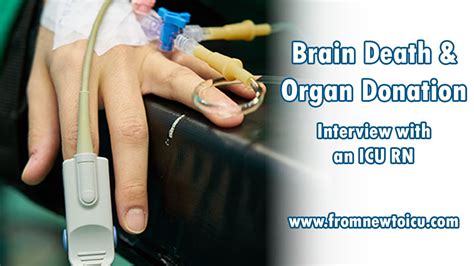 Is a donor organ brain dead?