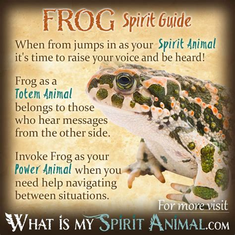 Is a frog my spirit animal?