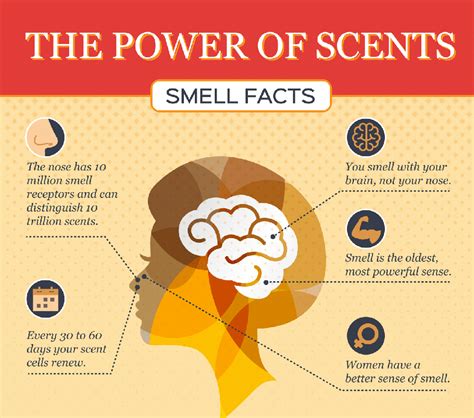 Is a good smell attractive?