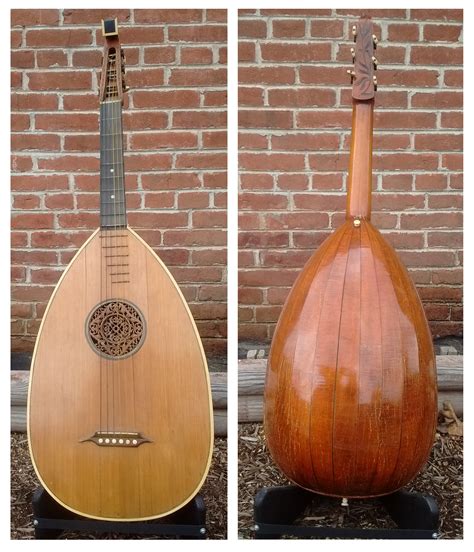 Is a guitar a lute?