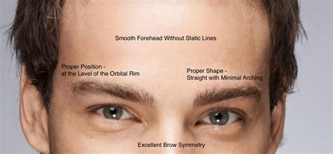 Is a heavy brow masculine?