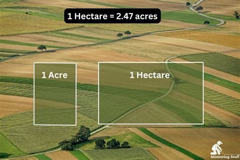 Is a hectare bigger than a mile?