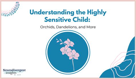 Is a highly sensitive child Neurodivergent?