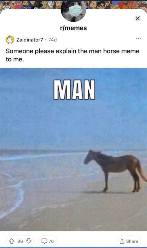 Is a horse OK alone?