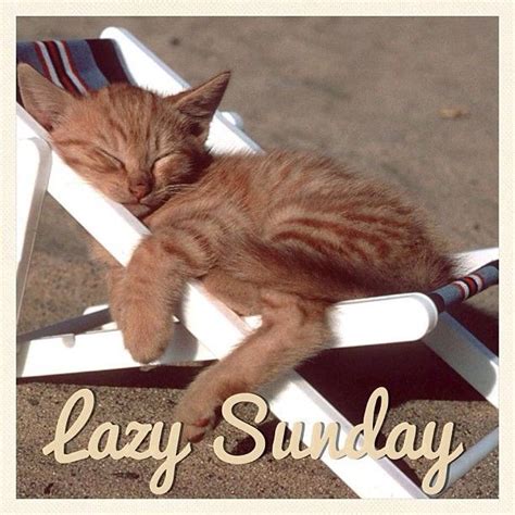 Is a lazy Sunday OK?