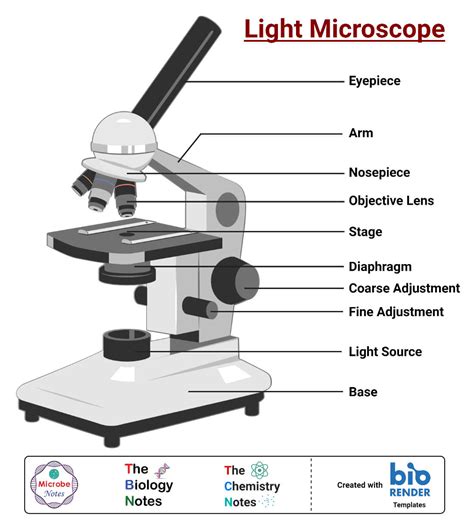Is a light microscope 2D or 3d?