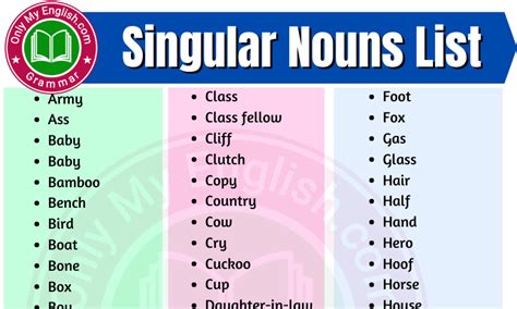 Is a noun always singular?