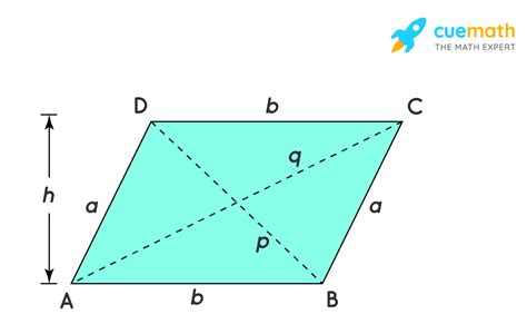 Is a parallelogram 2D or 3D?