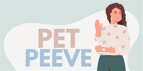 Is a pet peeve a noun?