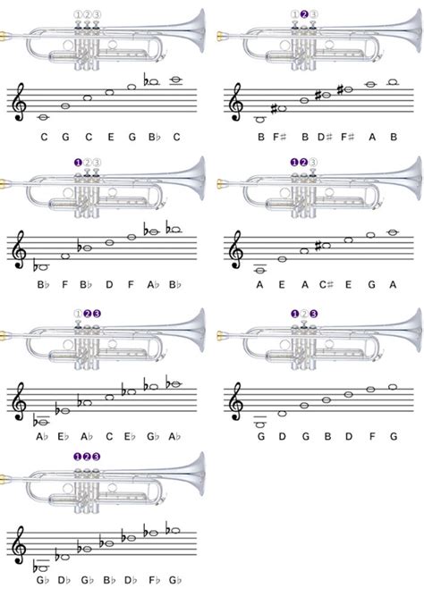 Is a piccolo trumpet in B-flat?