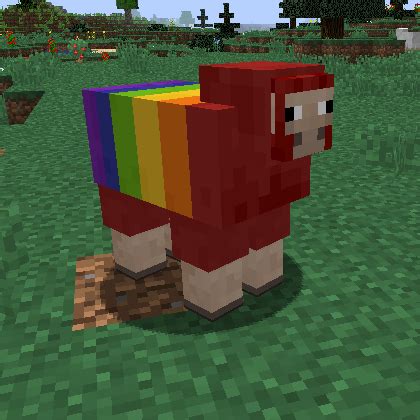 Is a rainbow sheep rare?