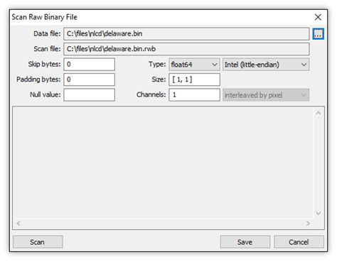 Is a raw file binary?