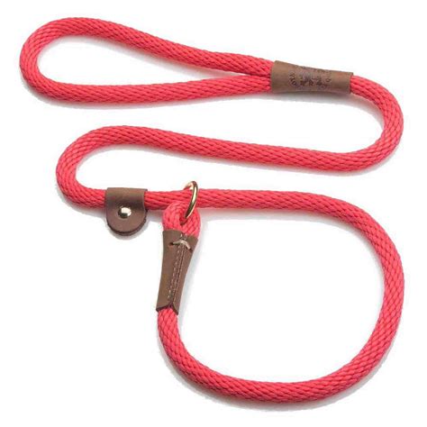 Is a slip lead OK for a puppy?