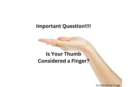 Is a thumb a finger scientifically?