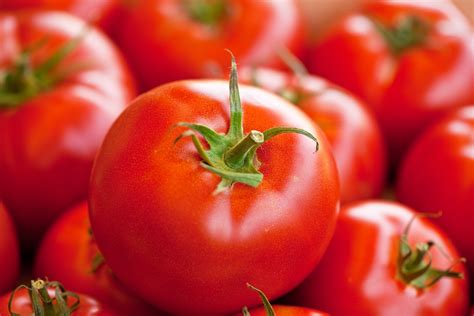 Is a tomato actually a berry?