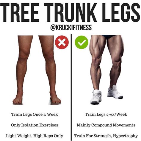 Is a trunk a leg?