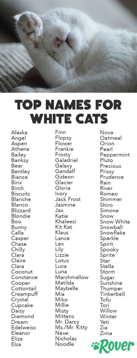 Is a white cat good?