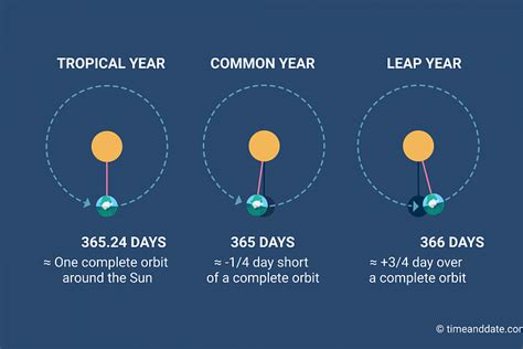 Is a year on Earth 365 days?