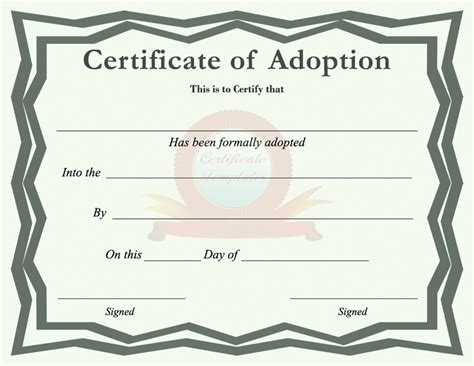 Is adoption free USA?