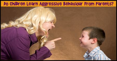 Is aggression learned from parents?