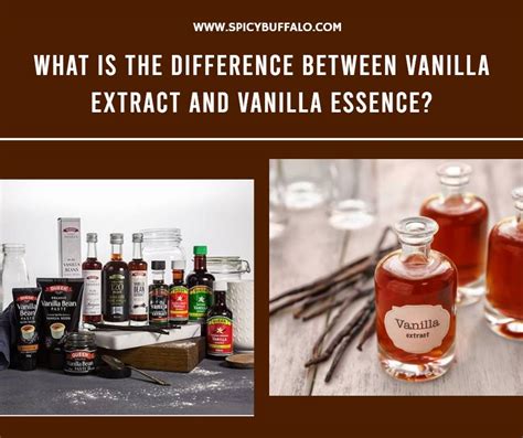Is all vanilla extract the same?
