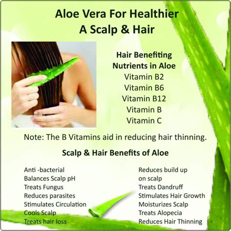 Is aloe vera good for men's hair?