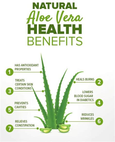Is aloe vera safe for everyone?