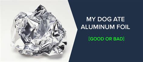 Is aluminum foil toxic to dogs?
