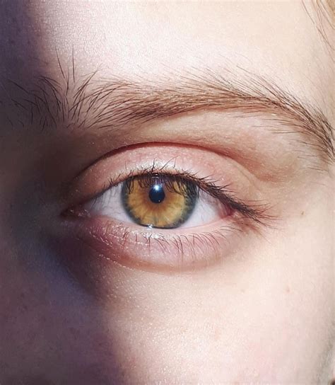 Is amber an actual eye color?