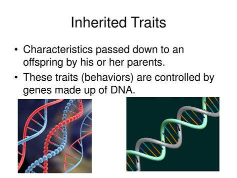 Is ambition genetic or learned?