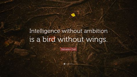 Is ambition related to intelligence?