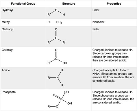 Is amino functional group nonpolar?