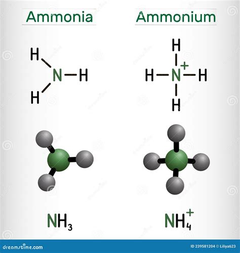 Is ammonia NH3 or NH4?