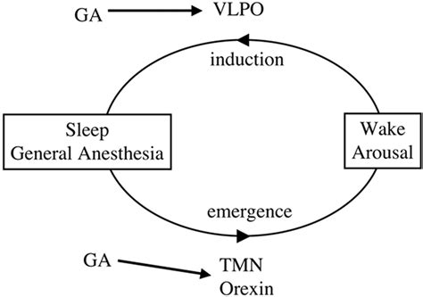 Is anesthesia sleep restful?