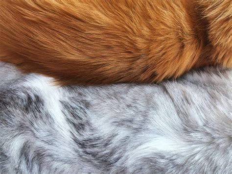 Is animal fur bad?