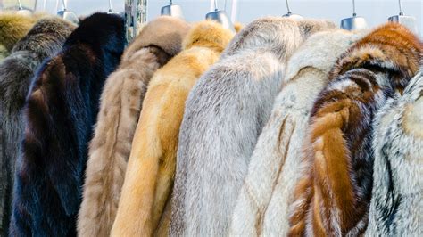 Is animal fur warmer than synthetic?