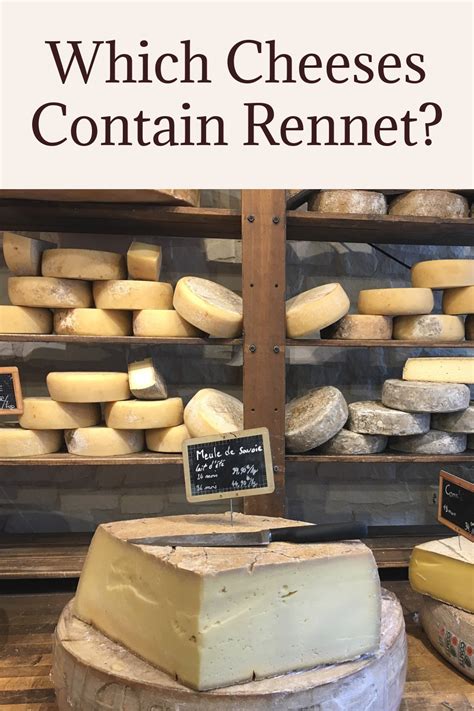 Is animal rennet still used in cheese?