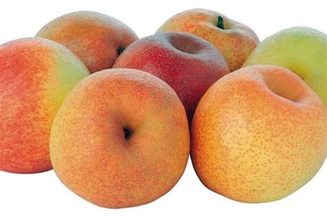 Is apple a hybrid fruit?