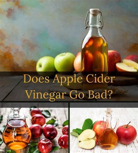 Is apple cider vinegar harmful to animals?