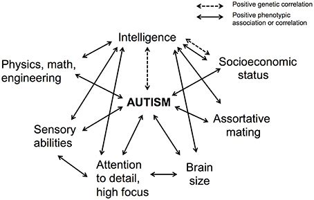 Is autism high IQ?