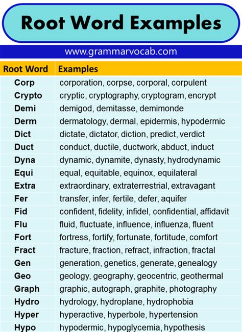 Is auto a root word?