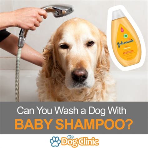 Is baby shampoo OK for dogs?